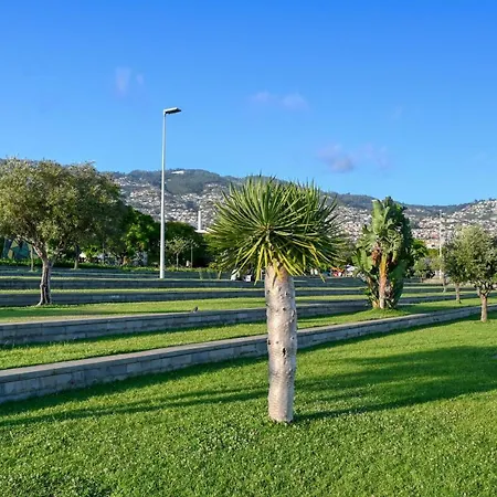 Beco Santa Emilia 4q, A In Madeira Apartment Funchal (Madeira)
